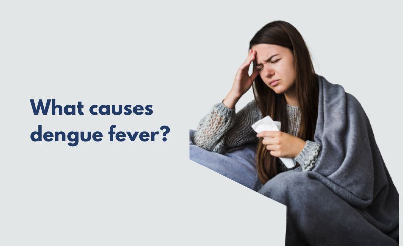 What is dengue fever?